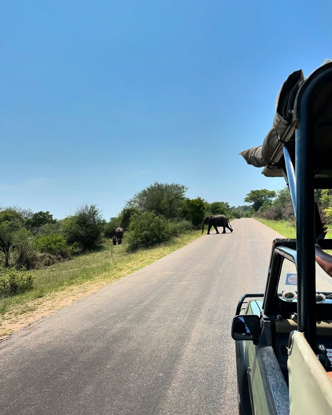 Divine Travel Agency