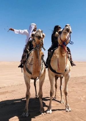 Divine Travel Agency