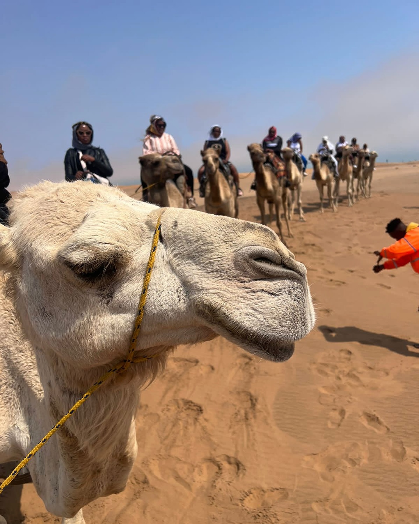 Divine Travel Agency