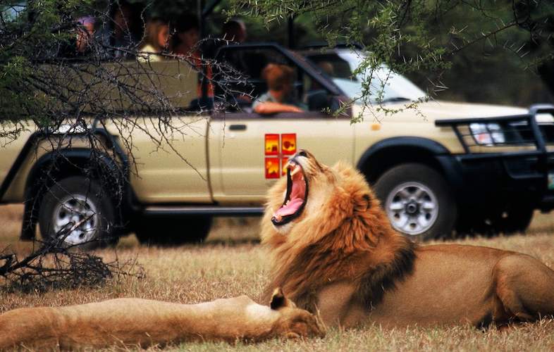 Divine Travel Agency